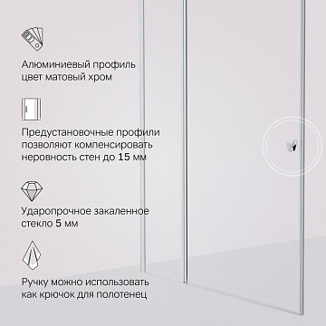Душевая дверь в нишу AM.PM Sunny W87G-120-1P-MT 120 см