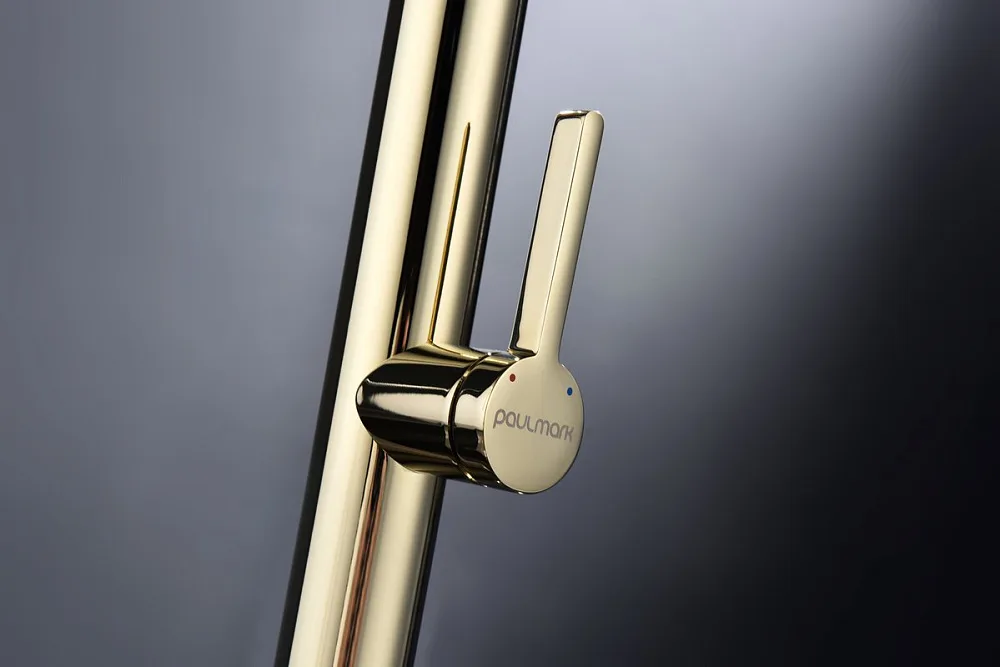 Смеситель для кухни Paulmark Leader Le214101-G, с гибким изливом, золото Sancos — официальный сайт