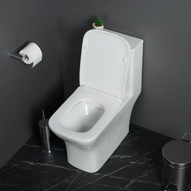 Унитаз-моноблок напольный BelBagno Neon BB8617CPR-MN/SC Sancos — Оригинал