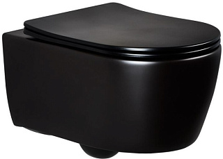 Унитаз подвесной Splendy Pride PR10152VTYBM безободковый, с микролифтом, черный матовый