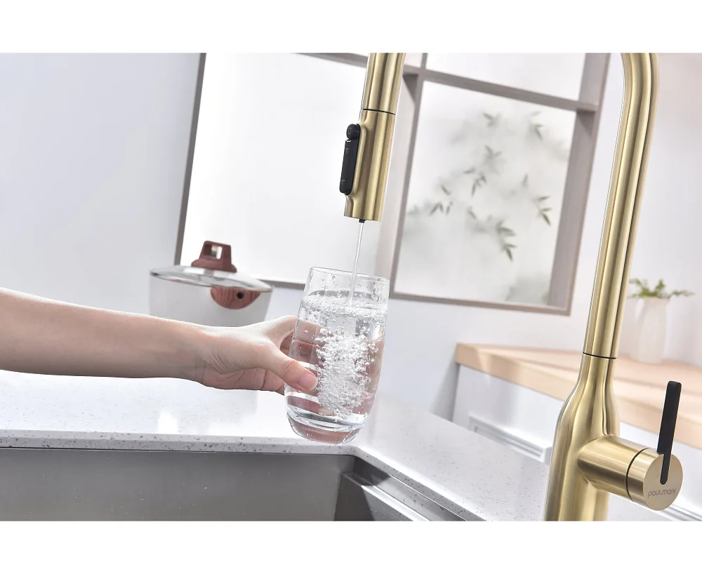 Смеситель для кухни Paulmark Universal Un213880-LG светлое золото Sancos — официальный сайт