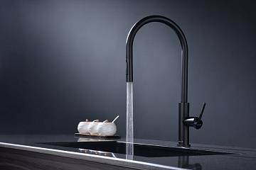 Смеситель для кухни Paulmark Senso Se215180-AN антрацит