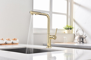 Смеситель для кухни Paulmark Neo Ne214419-G, золото