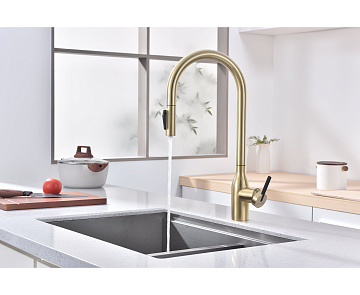 Смеситель для кухни Paulmark Universal Un213880-LG светлое золото