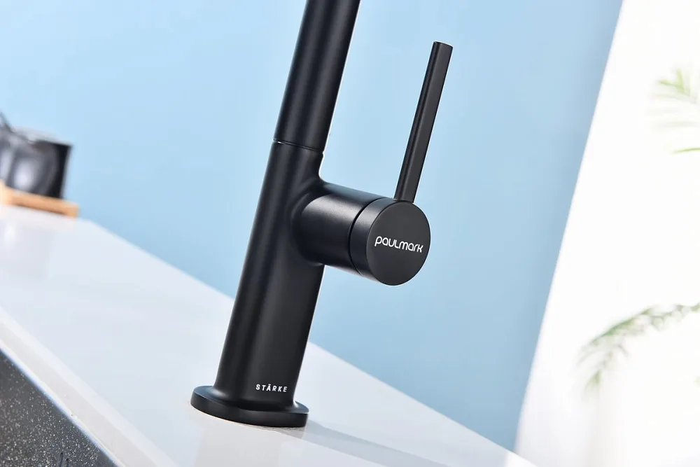 Смеситель для кухни Paulmark Neo Ne214419-AN, антрацит Sancos — официальный сайт