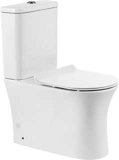 Унитаз-компакт напольный BelBagno Ancona BB1224CPR-P