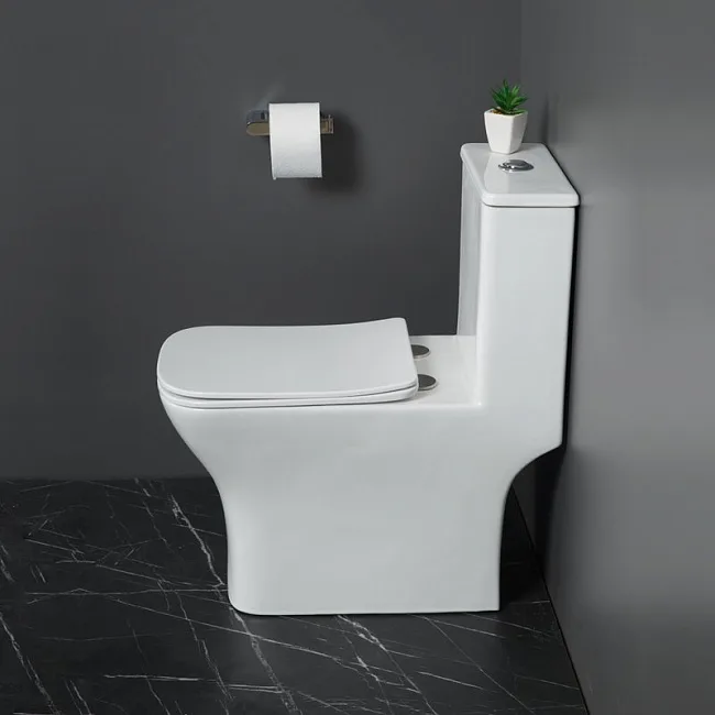 Унитаз-моноблок напольный BelBagno Neon BB8617CPR-MN/SC Sancos — Оригинал