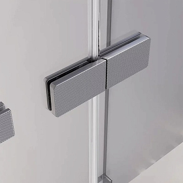 Душевая дверь в нишу Veconi Premium Alassio GR 120x200, профиль брашированный графит, стекло прозрач