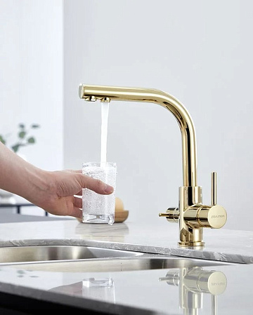 Смеситель для кухни Paulmark Essen Es213011-G золото