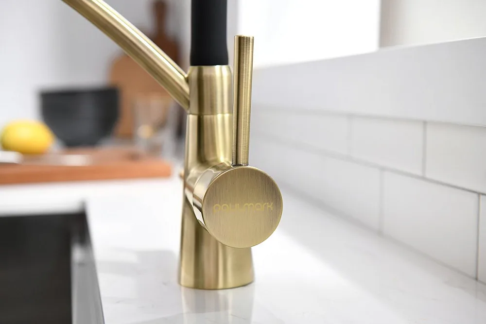 Смеситель для кухни Paulmark Siegen Si213111-BR с гибким изливом Sancos — официальный сайт
