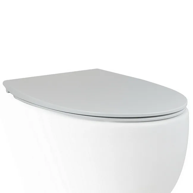 Крышка-сиденье AeT Dot 2.0 C555R101 c микролифтом, белая матовая Sancos — Оригинал