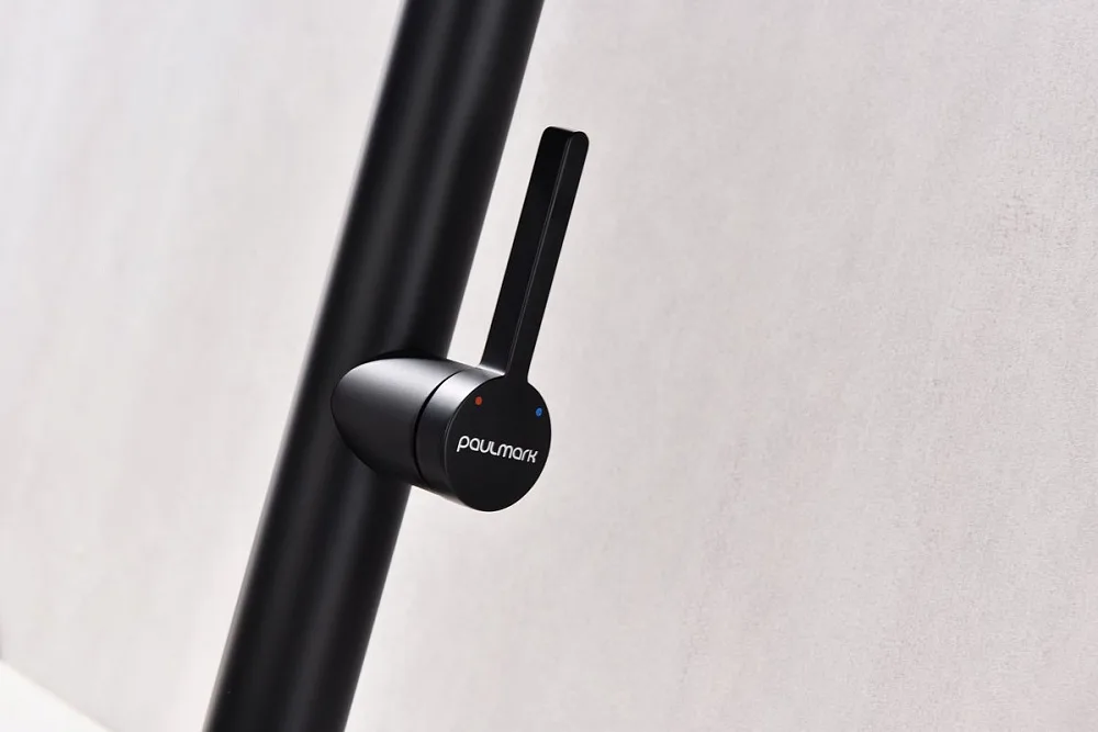 Смеситель для кухни Paulmark LeaderLe214101-AN, антрацит, с гибким изливом Sancos — официальный сайт