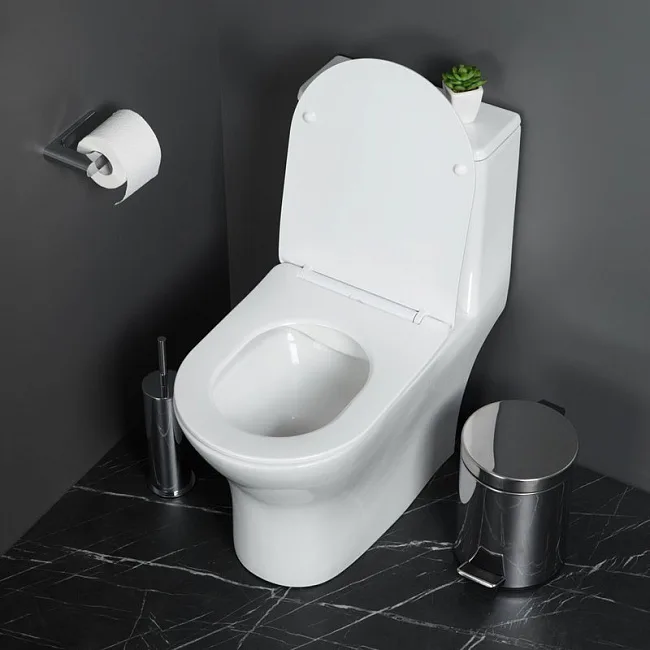 Унитаз-моноблок напольный BelBagno Lounge BB8618CPR-MN/SC Sancos — Оригинал