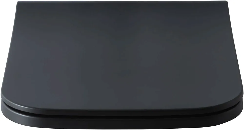 Крышка-сиденье Allen Brau Infinity 4.21014.31 с микролифтом Sancos — официальный сайт