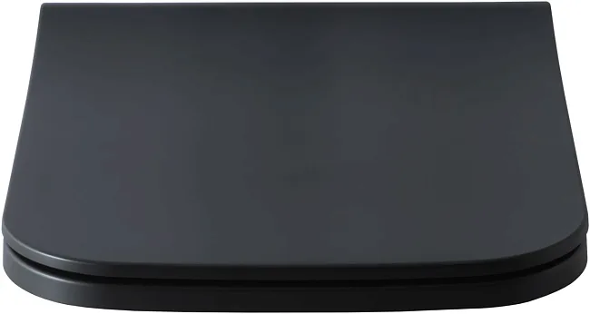 Крышка-сиденье Allen Brau Infinity 4.21014.31 с микролифтом Sancos — Оригинал