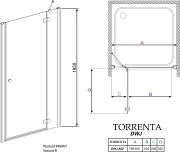 Душевая дверь в нишу Radaway Torrenta DWJ 80 прозрачное стекло R