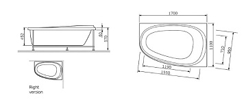 Акриловая ванна AM.PM Like 170x110 см, левая, W80A-170L110W-A