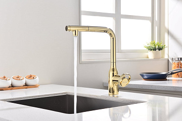 Смеситель для кухни Paulmark Urban Ur213104-G золото