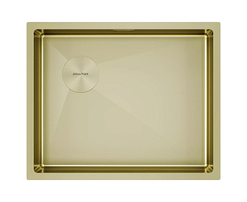 Мойка кухонная Paulmark Next-Skew 54-L UNI, PM885444-L-LG светлое золото