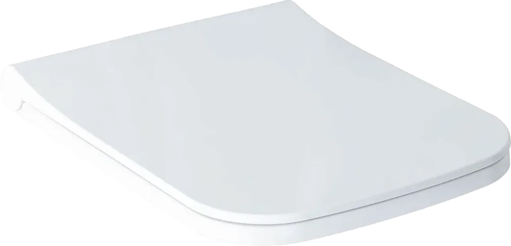 Крышка-сиденье Allen Brau Infinity 4.21013.20 с микролифтом Sancos — официальный сайт