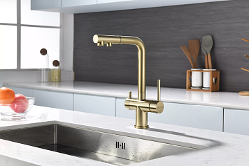 Смеситель для кухни Paulmark Serpentine Se213222-BG золото брашированное