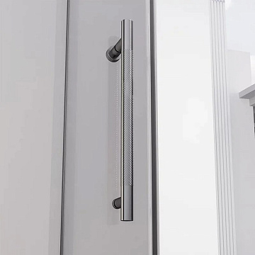 Душевая дверь в нишу Veconi Premium Alassio GR 120x200, профиль брашированный графит, стекло прозрач