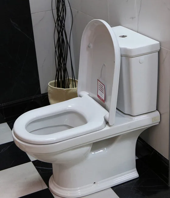 Унитаз-компакт напольный Villeroy & Boch Hommage 666210R1 772111R1 с микролифтом, альпийский белый,  Sancos — Оригинал