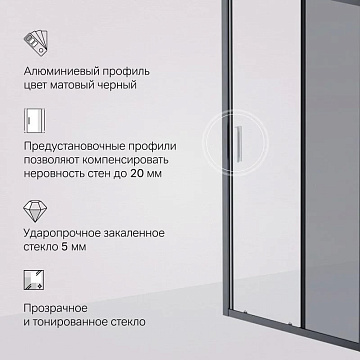 Душевая дверь в нишу AM.PM Gem Solo W90G-100-1-195BG 100 см