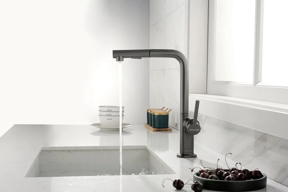 Смеситель для кухни Paulmark Neo Ne214419-B, беретта Sancos — официальный сайт