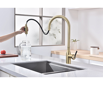 Смеситель для кухни Paulmark Universal Un213880-LG светлое золото