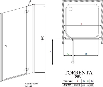 Душевая дверь в нишу Radaway Torrenta DWJ 90 прозрачное стекло R