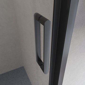 Душевая дверь в нишу BelBagno Luce BF-1-120-C-NERO профиль матовый черный, стекло прозрачное