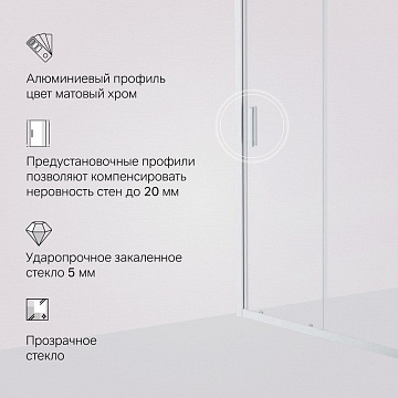Душевая дверь в нишу AM.PM Gem Solo W90G-110-1-195MT 110 см