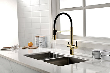 Смеситель для кухни Paulmark Gravity Gr213888-G, золото