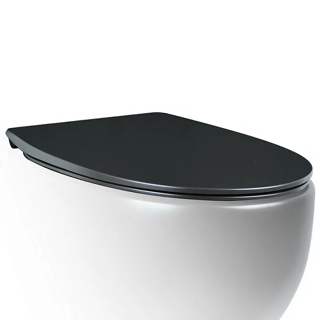 Крышка-сиденье AeT Dot 2.0 C555R105 c микролифтом, черная матовая Sancos — Оригинал