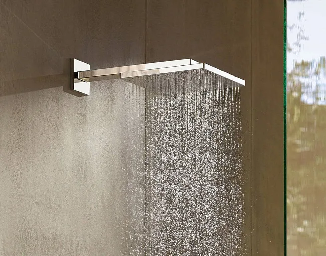 Верхний душ Hansgrohe Raindance E 300 1jet 26238000 хром Sancos — Оригинал