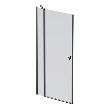 Душевая дверь в нишу AM.PM Sunny W87G-100-1P-BT 100 см