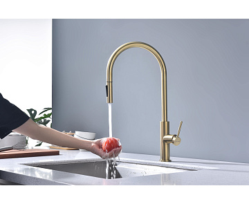 Смеситель для кухни Paulmark Senso Se215180-LG светлое золото
