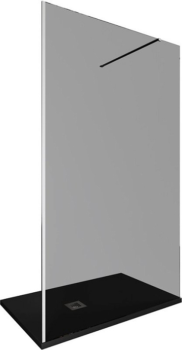 Душевая перегородка Allen Brau Infinity 1 3.21020.BA.T 120 см, профиль серебро браш, стекло тонирова