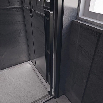 Дверь для душевого уголка Veconi Premium Trento PTD-30B 120 см, профиль черный матовый, стекло прозр