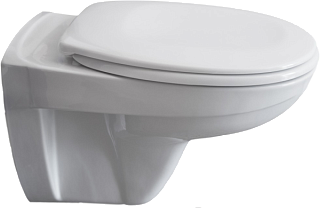 Унитаз подвесной Pestan Fluenta Basic 40006460