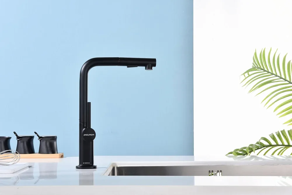 Смеситель для кухни Paulmark Neo Ne214419-AN, антрацит Sancos — официальный сайт