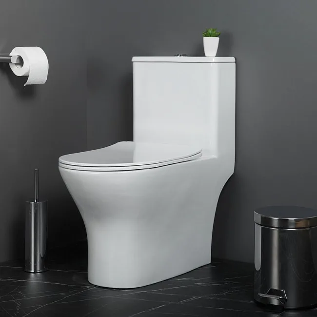 Унитаз-моноблок напольный BelBagno Lounge BB8618CPR-MN/SC Sancos — Оригинал