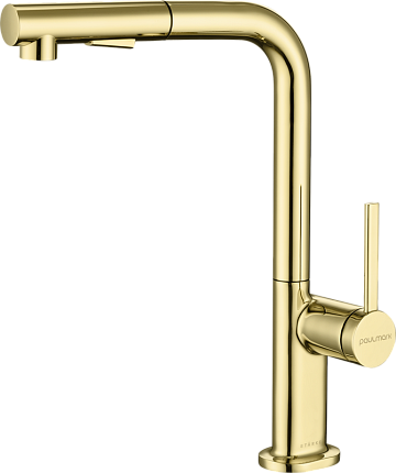 Смеситель для кухни Paulmark Neo Ne214419-G, золото