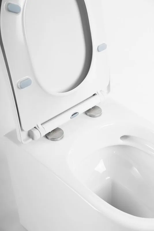 Унитаз приставной напольный BelBagno Marino BB105CBR сиденье BB2031SC с микролифтом, безободковый, г Sancos — официальный сайт