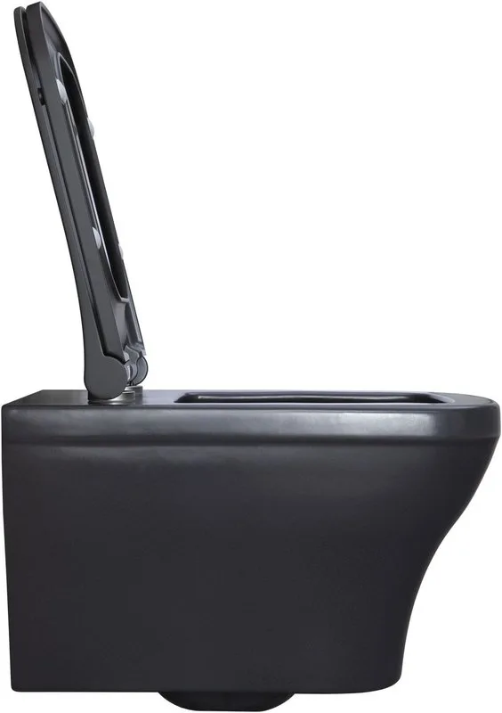 Унитаз подвесной Allen Brau Infinity 4.21011.AN Sancos — официальный сайт