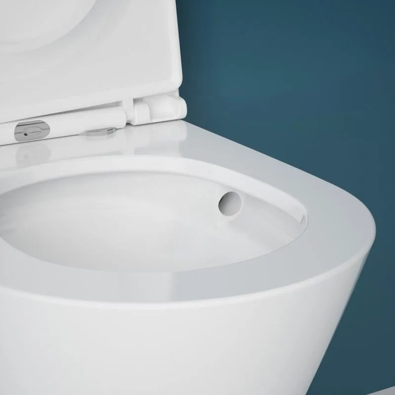 Подвесной унитаз Esbano Clavel-53T ESUPCLAV53TW белый глянец безободковый, смыв Торнадо, с сиденьем  Sancos — официальный сайт