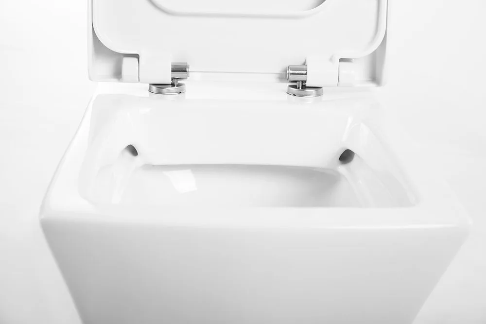 Крышка-сиденье BelBagno Regina BB104SC с микролифтом Sancos — официальный сайт