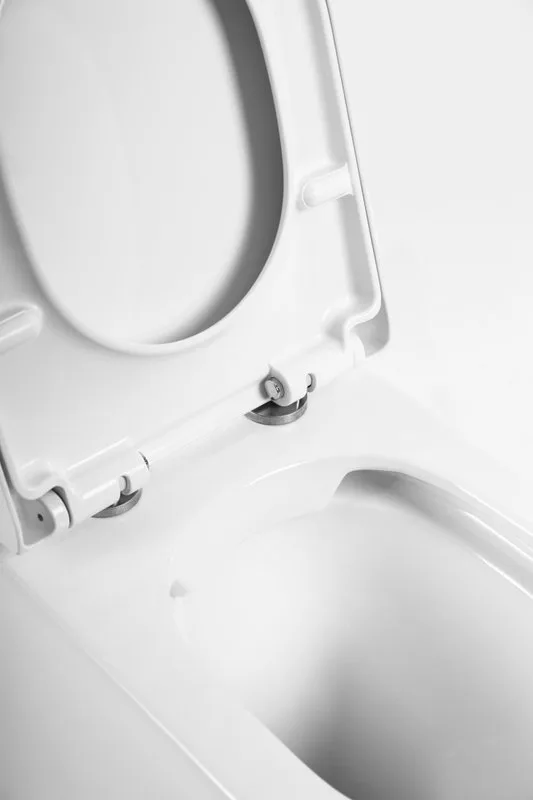 Унитаз приставной напольный BelBagno Flay-r BB1003CBR сиденье BB865SC с микролифтом, безободковый, г Sancos — официальный сайт