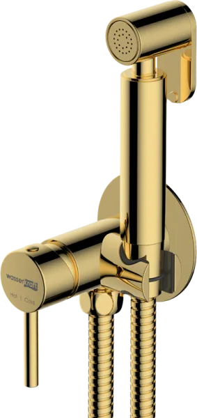 Гигиенический душ Wasserkraft Sauer A70738 со смесителем, С ВНУТРЕННЕЙ ЧАСТЬЮ, глянцевое золото PVD